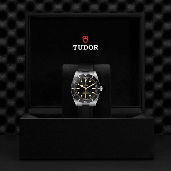 M79000N 0002 tudor watch carousel 4 4 10 2023