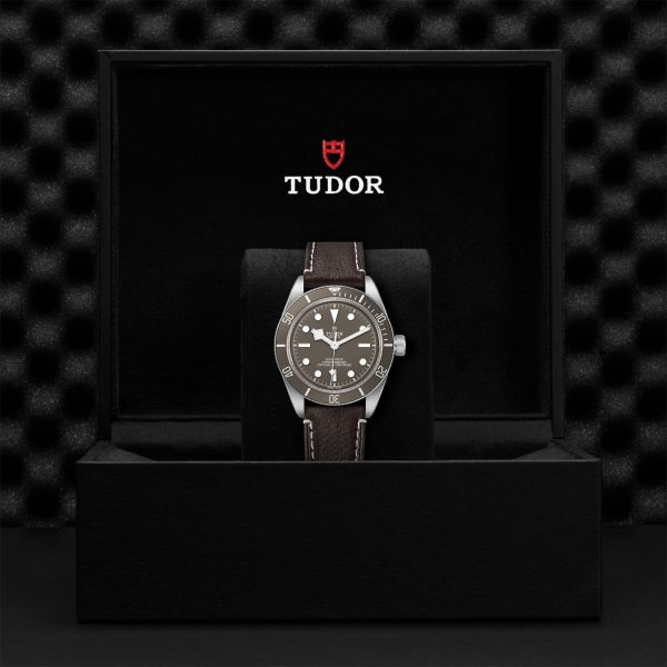 M79010SG 0001 tudor watch carousel 4 4 10 2023