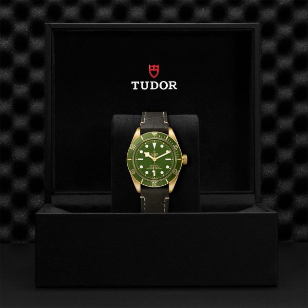 M79018V 0001 tudor watch carousel 4 4 10 2023