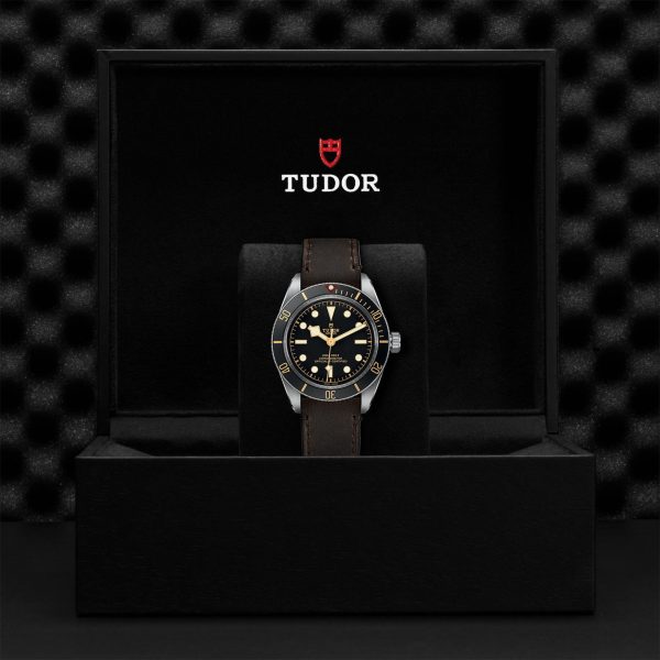 M79030N 0002 tudor watch carousel 4 4 10 2023