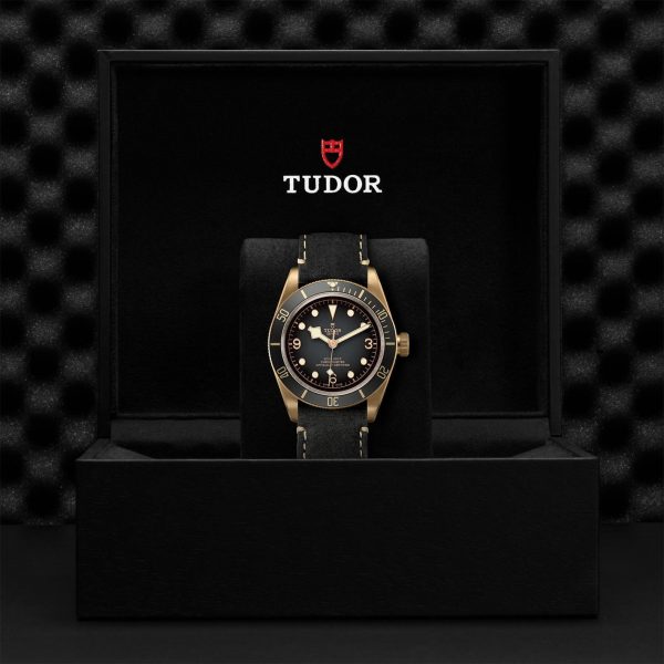 M79250BA 0001 tudor watch carousel 4 4 10 2023