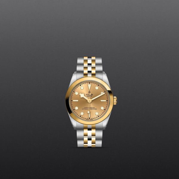 M79603 0005 tudor watch carousel 1 4 10 2023