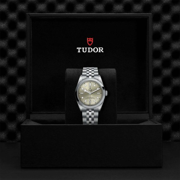 M79640 0003 tudor watch carousel 4 4 10 2023