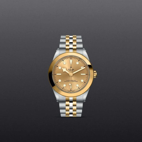 M79663 0005 tudor watch carousel 1 4 10 2023