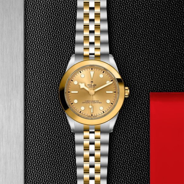 M79663 0005 tudor watch carousel 2 4 10 2023