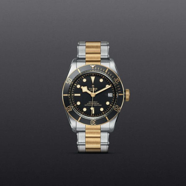 M79733N 0008 tudor watch carousel 1 4 10 2023