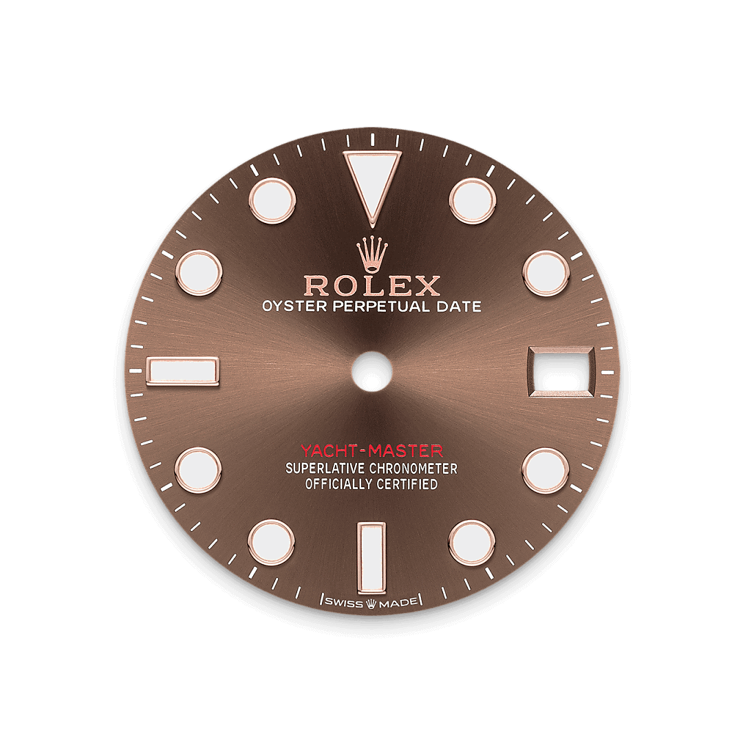 Rolex Dail Coklat - Jam Tangan Swee Cheong